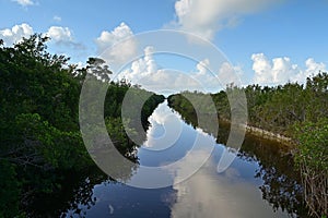 Buttonwood Canal in Everglades National Park, Florida.