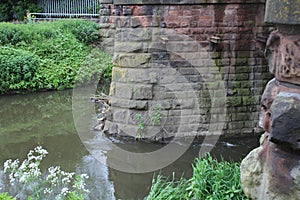 Buttresses in the River Rother