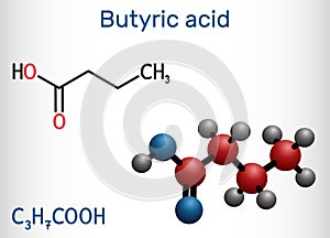 Butyric acid, butanoic acid molecule. Butyrates or butanoates are salts and esters . Molecular model photo