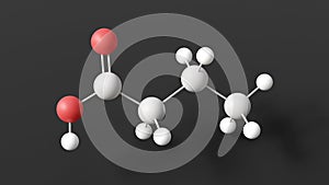 butyric acid molecule, molecular structure, butanoic acid, ball and stick 3d model, structural chemical formula with colored atoms photo