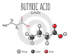 Butyric Acid Skeletal Structure and Flat Model Representation