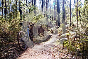 Buxton Mountain Bike Park in Australia