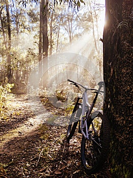 Buxton Mountain Bike Park in Australia