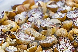 Buy betel Areca nuts seeds Bangrak market Koh Samui Thailand