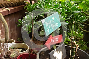 Buy one get two free arow sign in the flower shop