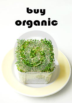 Buy Organic products alfalfa