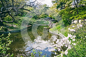 Buyeongji pond at the Huwon park, Secret Garden, Changdeokgung p