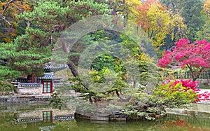 Buyeongji pond at the Huwon park, Secret Garden, Changdeokgung palace