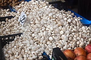 Buying fresh organic produce at the farmers' market.