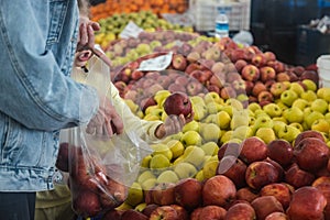 Buying fresh organic produce at the farmers& x27; market. A woman chooses fresh herbs, vegetables and fruits at a food