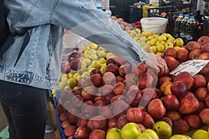 Buying fresh organic produce at the farmers& x27; market. A woman chooses fresh herbs, vegetables and fruits at a food