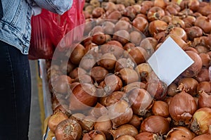 Buying fresh organic produce at the farmers& x27; market. A woman chooses fresh herbs, vegetables and fruits at a food