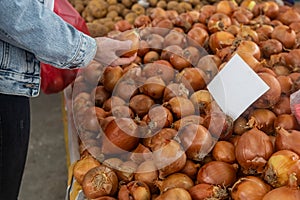 Buying fresh organic produce at the farmers& x27; market. A woman chooses fresh herbs, vegetables and fruits at a food