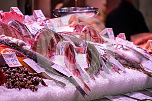 Buying seafood in central market in Valencia