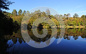 Buyuk Dipsiz Lake - Yalova