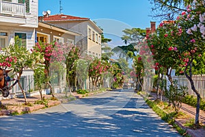 Buyukada island in Turkey. A popular resort among locals photo