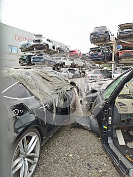 Buzau, Romania - September 12, 2022: Old wrecked cars in junkyard waiting to be shredded in a recycling park near Bacau