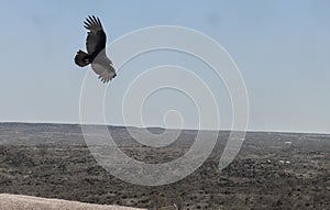 Buzzard`s Low Pass III @ Enchanted Rock State Area in Texas