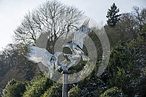 Buzzard sculpture in metal in Rose bank gardens