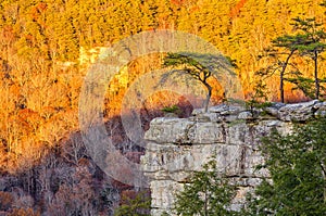 Buzzards Roost, Fall Creek Falls State Park, Tennessee