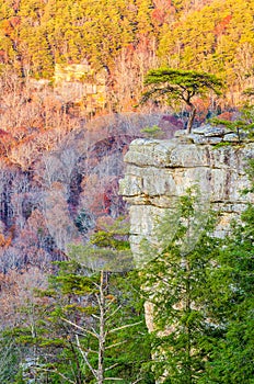 Buzzards Roost, Fall Creek Falls State Park, Tennessee photo