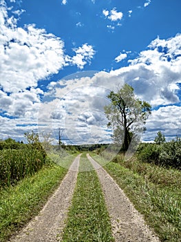 Buzzards Swamp in Marienville, PA