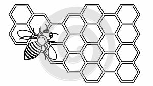 Buzzing Bee on Hexagonal Honeycomb Pattern Outline, vector design Generative AI
