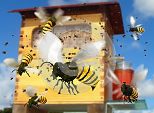 Buzzing Bee Hive Colony Closeup photo