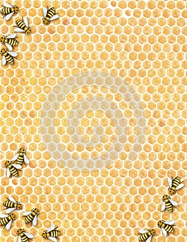 Buzzz - illustrated honeycomb with bees