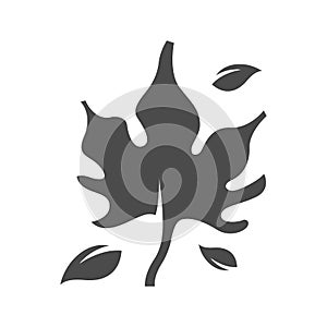 BW Icons - Maple leaves