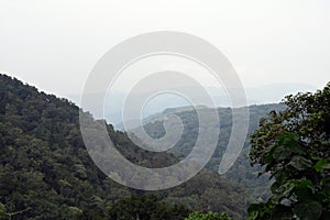 Bwindi National Park, Uganda