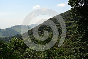 Bwindi National Park, Uganda photo