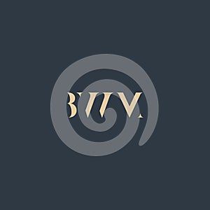 BWM abstract letter logo