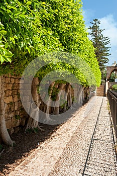 Byblos is a Mediterranean city in the Mount Lebanon