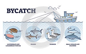 Bycatch problem with unwanted animal capture in fishing outline diagram