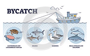 Bycatch problem with unwanted animal capture in fishing outline diagram photo