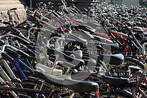 Hundreds of bikes on sidewalk photo