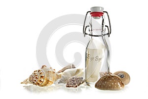 Bye bye message in a bottle made of glass between some sea shell