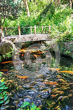 Byodo-In Buddhist Japanese Temple oahu hawaii