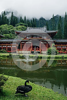 Byodo-in Buddhist Temple, island Oahu, Hawaii