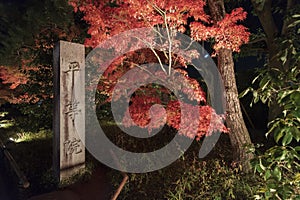 Byodo-in Buddhist temple in Uji, Kyoto, Japan