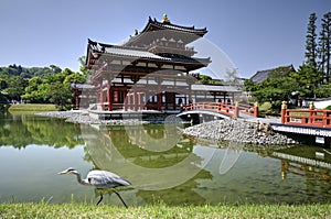 Byodo-in temple and heron in Uji, Japan