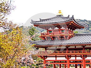 Byodo-in temple, Kyoto, Japan 5