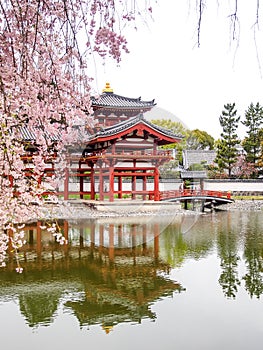 Byodo-in temple, Kyoto, Japan 6