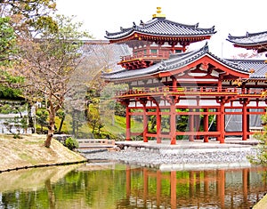 Byodo-in temple, Kyoto, Japan 7