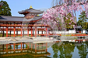 Byodo-in Temple in Spring