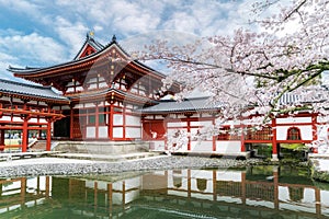 Byodo-in Temple in Uji, Kyoto, Japan during spring. Cherry blossom in Kyoto, Japan