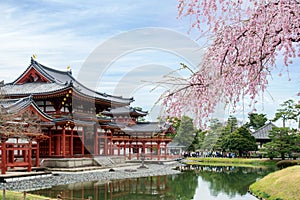 Byodo-in Temple in Uji, Kyoto, Japan during spring. Cherry blossom in Kyoto, Japan.