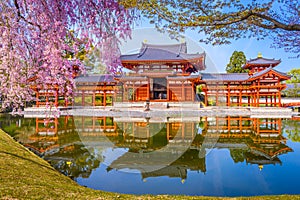 Byodoin Temple Kyoto