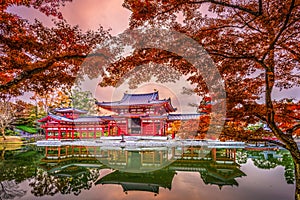 Byodoin Temple in Kyoto photo